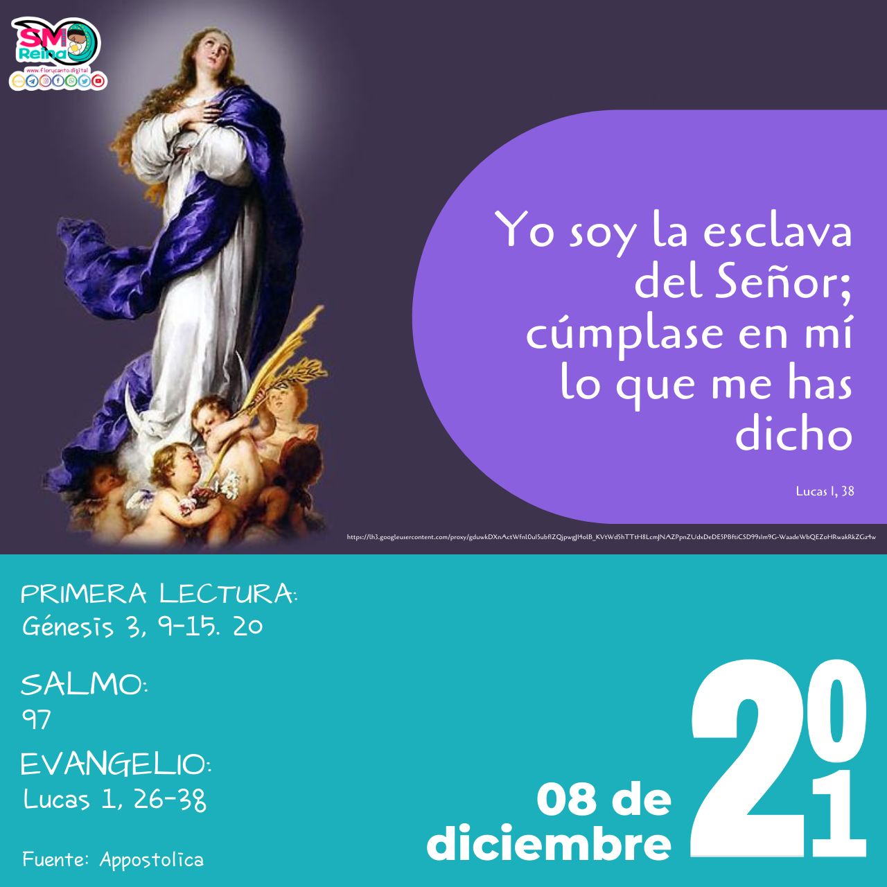 8 de diciembre 2021