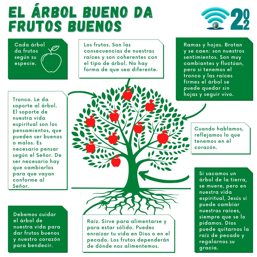 El árbol bueno da frutos buenos